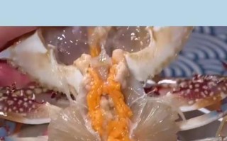 以咸蛋黄梭子蟹为主题的美食烹饪（教你如何做出美味的咸蛋黄梭子蟹）