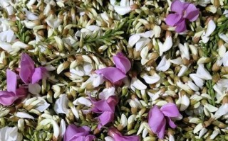 原味蒸槐花的制作方法（传统美味，嫩滑爽口）