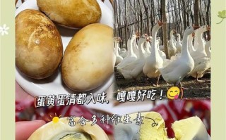 轻松学做淹鹅蛋（让你的鹅蛋口感更加美味）