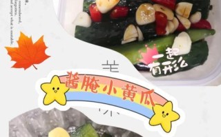 盐水鸡小黄瓜的做法（口感鲜美健康营养，教你轻松烹饪佳肴）