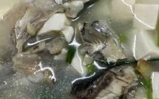 一道清热解毒的鱼头白玉汤（以鲫鱼为主材，带你轻松学会鱼头白玉汤的做法）