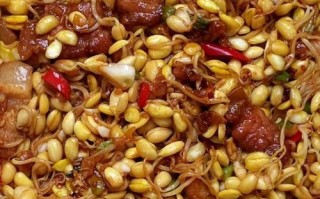 猪油渣抄黄豆芽的秘诀（香气四溢、口感鲜美，猪油渣抄黄豆芽的完美做法）