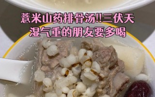 健康美味，薏米山药炖筒骨（家常煲汤，补气养血，适合全家食用）