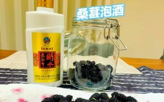 自酿桑葚酒的制作方法（享受美味自然的甜蜜诱惑）