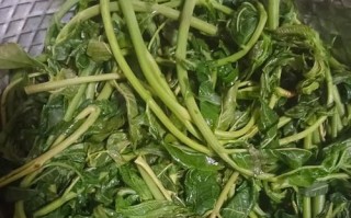 美味腌香椿芽的做法（手把手教你制作腌香椿芽，让你赞不绝口）
