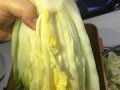 压白菜，一种特别的腌制方法（让白菜更加鲜美营养的做法）