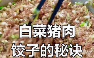 手把手教你做猪肉白菜馅水饺（做水饺的正确步骤和技巧，让你做出美味的水饺）