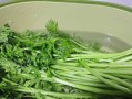 教你做出美味的蒜蓉皇帝菜（传统美食掌握口味，口感清香爽口）