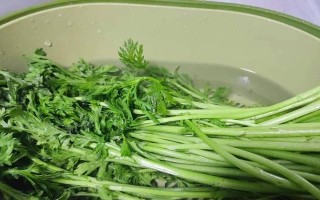 教你做出美味的蒜蓉皇帝菜（传统美食掌握口味，口感清香爽口）