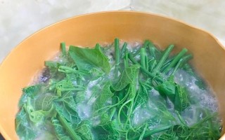荫凤梨炒龙须菜，美味健康又营养（用荫凤梨点缀龙须菜的绝妙做法）