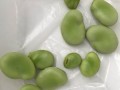 学会制作美味的雪菜豆瓣酥（口感鲜美，制作简单，尝尽美味）
