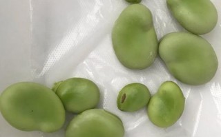 学会制作美味的雪菜豆瓣酥（口感鲜美，制作简单，尝尽美味）