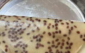 甜层层糕的制作方法（一步步教你做出口感绵软的美味糕点）