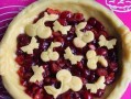 探秘美味的樱桃派做法（如何制作口感细腻、香甜可口的樱桃派）