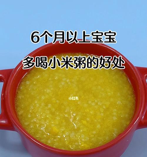 小米粥——辅食营养的首选（1个月以上宝宝的辅食做法及注意事项）-第2张图片-美味行家