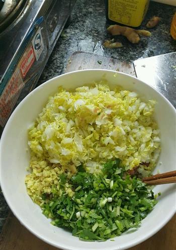 手工制作小白菜猪肉饺子（美味营养的家常美食，学会做饺子吃到撑！）-第2张图片-美味行家