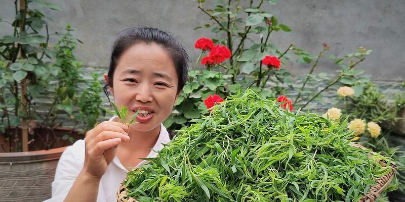 蒸菜扫帚苗，省力又环保（用蒸菜水来种出一盆绿色扫帚苗）-第3张图片-美味行家