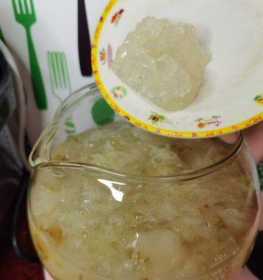 椰汁桃胶糖水的营养与制作方法（一种天然的美容养颜饮品，桃胶的健康功效）-第2张图片-美味行家