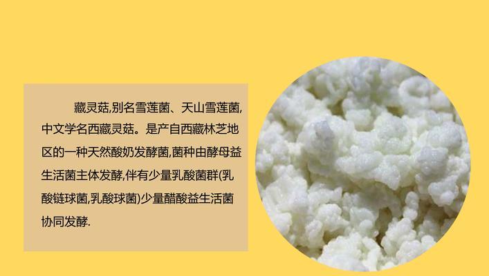 以雪莲菌酸奶为基础的美味健康食品制作（融入健康概念的美味食谱分享）-第2张图片-美味行家