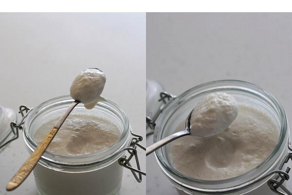 以雪莲菌酸奶为基础的美味健康食品制作（融入健康概念的美味食谱分享）-第3张图片-美味行家