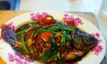 香煎吴郭鱼的制作方法（美味又营养，做法简单易学）-第2张图片-美味行家