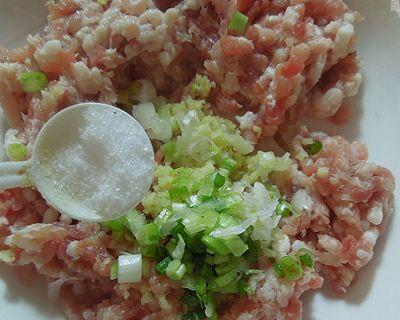 自制小葱猪肉馄饨的做法（简单易学，香气十足）-第3张图片-美味行家