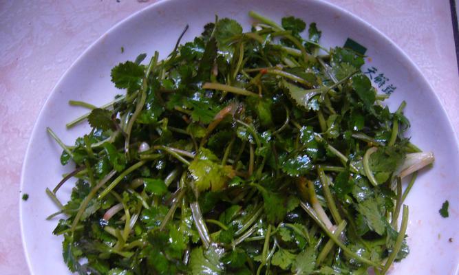 土豆丝拌香菜，清爽美味的家常小菜（简单易做、口感爽脆、营养丰富的土豆丝拌香菜）-第3张图片-美味行家