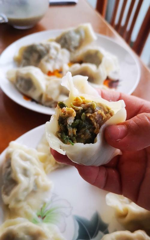 一兜肉饺子，传统美食的经典之作（如何制作美味可口的一兜肉饺子？制作过程详解）-第2张图片-美味行家