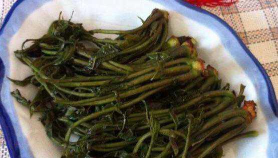 以香椿小咸菜为主角的美食之旅（探寻香椿小咸菜的独特魅力）-第1张图片-美味行家