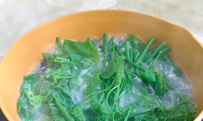 荫凤梨炒龙须菜，美味健康又营养（用荫凤梨点缀龙须菜的绝妙做法）-第1张图片-美味行家
