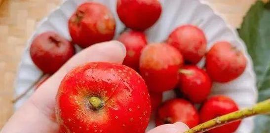 如何制作美味山楂果茶（传统工艺，酸甜可口）-第1张图片-美味行家