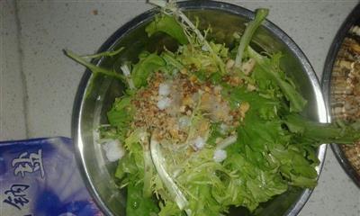 糖醋苦菊的美味制作（口感酸甜，营养丰富，开胃美食尽在家中）-第1张图片-美味行家