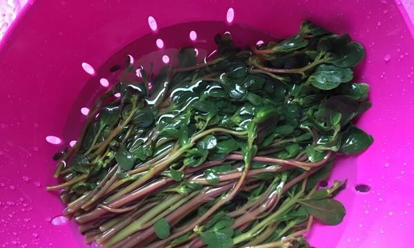 健康美食丨蒜蓉马齿苋（轻松烹制，健康美味无负担）-第1张图片-美味行家