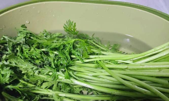 教你做出美味的蒜蓉皇帝菜（传统美食掌握口味，口感清香爽口）-第1张图片-美味行家