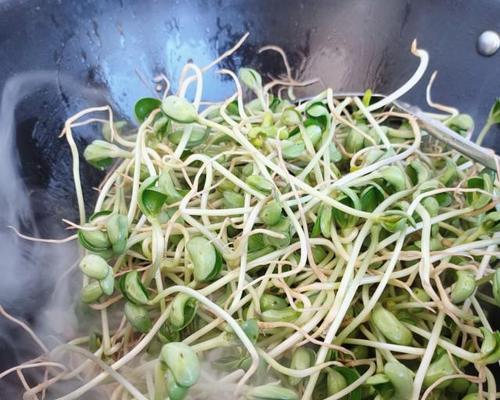 自制黑豆芽，让你在家也能吃到新鲜的健康食材（从选材到制作，一步步教你如何制作营养丰富的黑豆芽）-第2张图片-美味行家