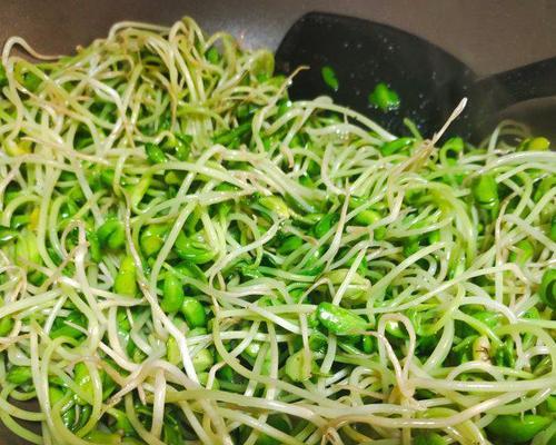 自制黑豆芽，让你在家也能吃到新鲜的健康食材（从选材到制作，一步步教你如何制作营养丰富的黑豆芽）-第1张图片-美味行家