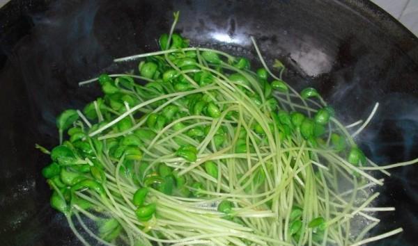 爽口豌豆苗美食制作（做法详解，让你吃出美味新感觉）-第1张图片-美味行家