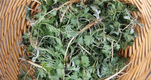 野菜包子的做法（以白蒿为主材料，教你如何制作美味的野菜包子）-第3张图片-美味行家