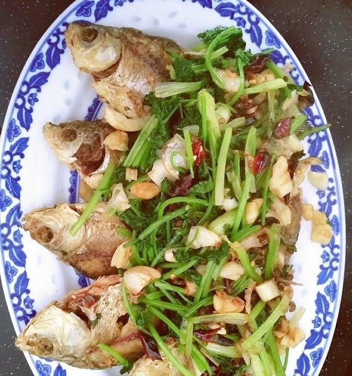 尝鲜必备！美味易做的蒜香鱼（学会这个做法，让你的鱼更香、更美味！）-第2张图片-美味行家