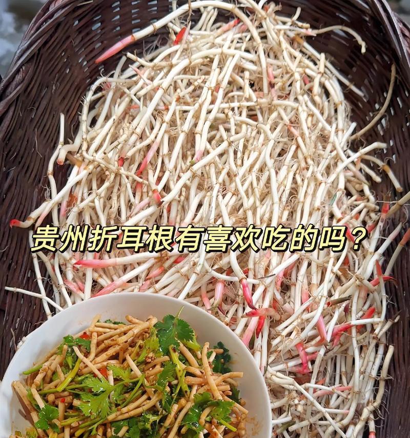 用鱼腥草炒出口感绝佳的肉丝（掌握做法，享受健康美味；以鱼腥草为主料，营养丰富）-第1张图片-美味行家