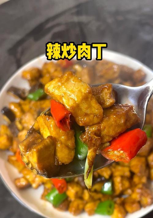 鲜美可口！掌握以什锦炒肉丁的做法（一道简单易学的家常菜，让你的餐桌不再单调）-第3张图片-美味行家