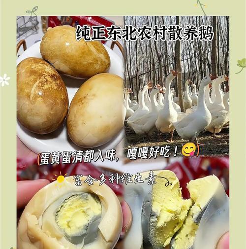 轻松学做淹鹅蛋（让你的鹅蛋口感更加美味）-第1张图片-美味行家