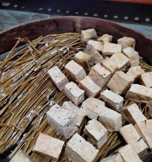 自制家常豆腐，简单易学（手工豆腐制作全攻略，豆渣也不浪费）-第1张图片-美味行家