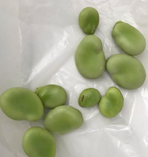 学会制作美味的雪菜豆瓣酥（口感鲜美，制作简单，尝尽美味）-第1张图片-美味行家