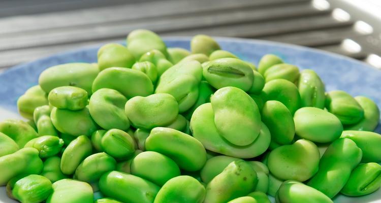 蚕豆煮枇杷叶，清热润肺，养生良方-第1张图片-美味行家