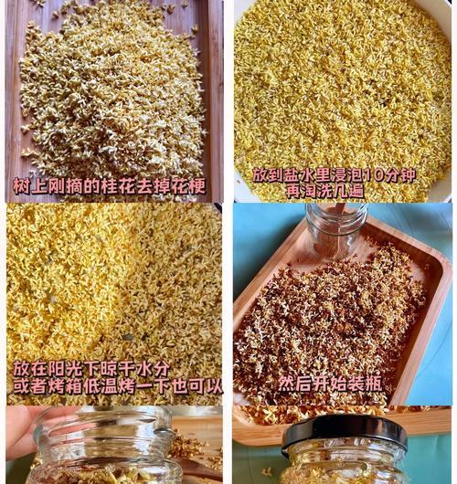 手把手教你制作美味养生汤羹，享受秋日健康生活（手把手教你制作美味养生汤羹，享受秋日健康生活）-第2张图片-美味行家