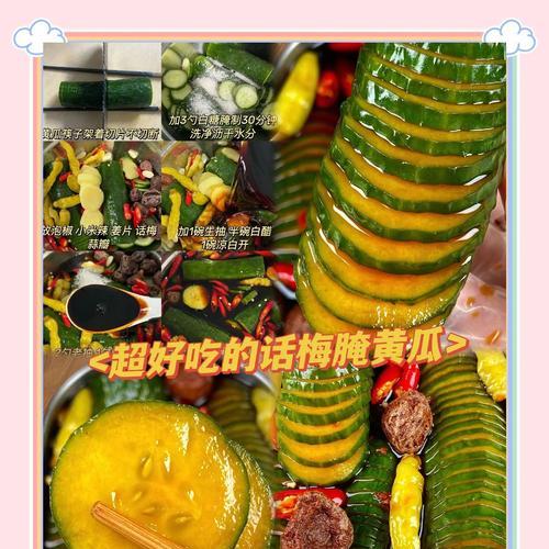 尝鲜新文美食（用“新鲜”与“美味”诠释酸爽口感）-第2张图片-美味行家