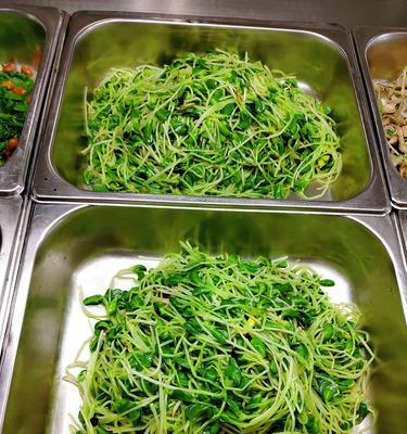 美味营养的虾球拌黑豆芽（教你如何做好虾球拌黑豆芽，健康又美味的佳肴）-第1张图片-美味行家