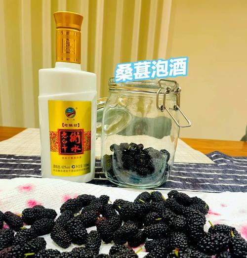 自酿桑葚酒的制作方法（享受美味自然的甜蜜诱惑）-第1张图片-美味行家