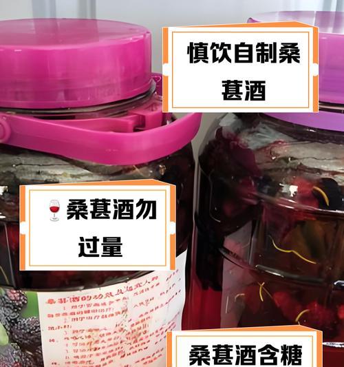 自酿桑葚酒的制作方法（享受美味自然的甜蜜诱惑）-第2张图片-美味行家